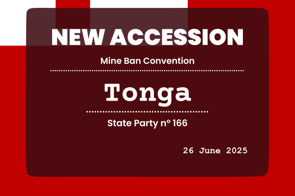 New Tonga Flag 