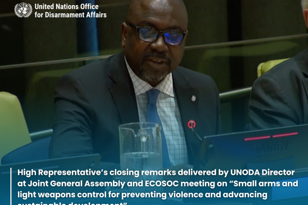 UNODA Director and Deputy to the High Representative delivers closing remarks at Joint General Assembly - Economic and Social Council meeting