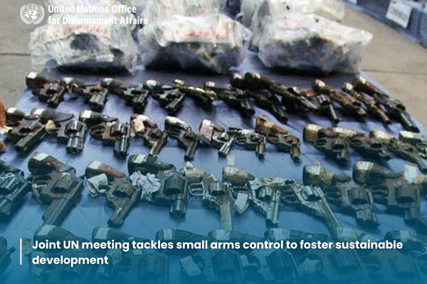 Joint UN meeting tackles small arms control to foster sustainable development
