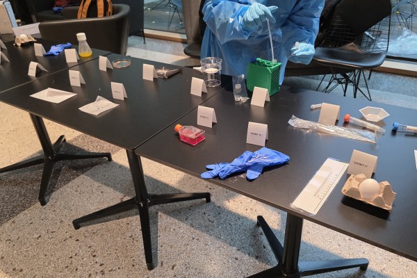 UNSGM Training Course