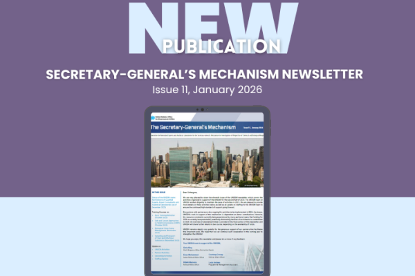 New Publication: UNSGM Newsletter