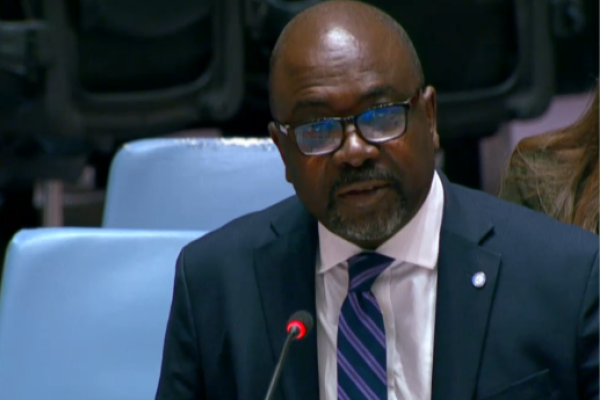 Adedeji Ebo Briefs Security Council