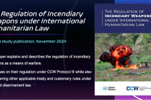 The Regulation of Incendiary Weapons under international humanitarian law
