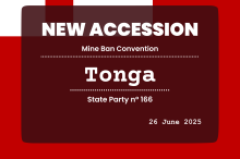 New Tonga Flag 