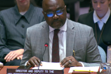 Director and Deputy to the High Representative for Disarmament Affairs Adedeji Ebo Delivers Remarks for the Open Debate of the United Nations Security Council on Small Arms and Light Weapons