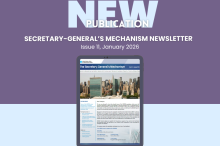 New Publication: UNSGM Newsletter