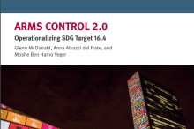 Operationalizing-SDG-Target-16.41